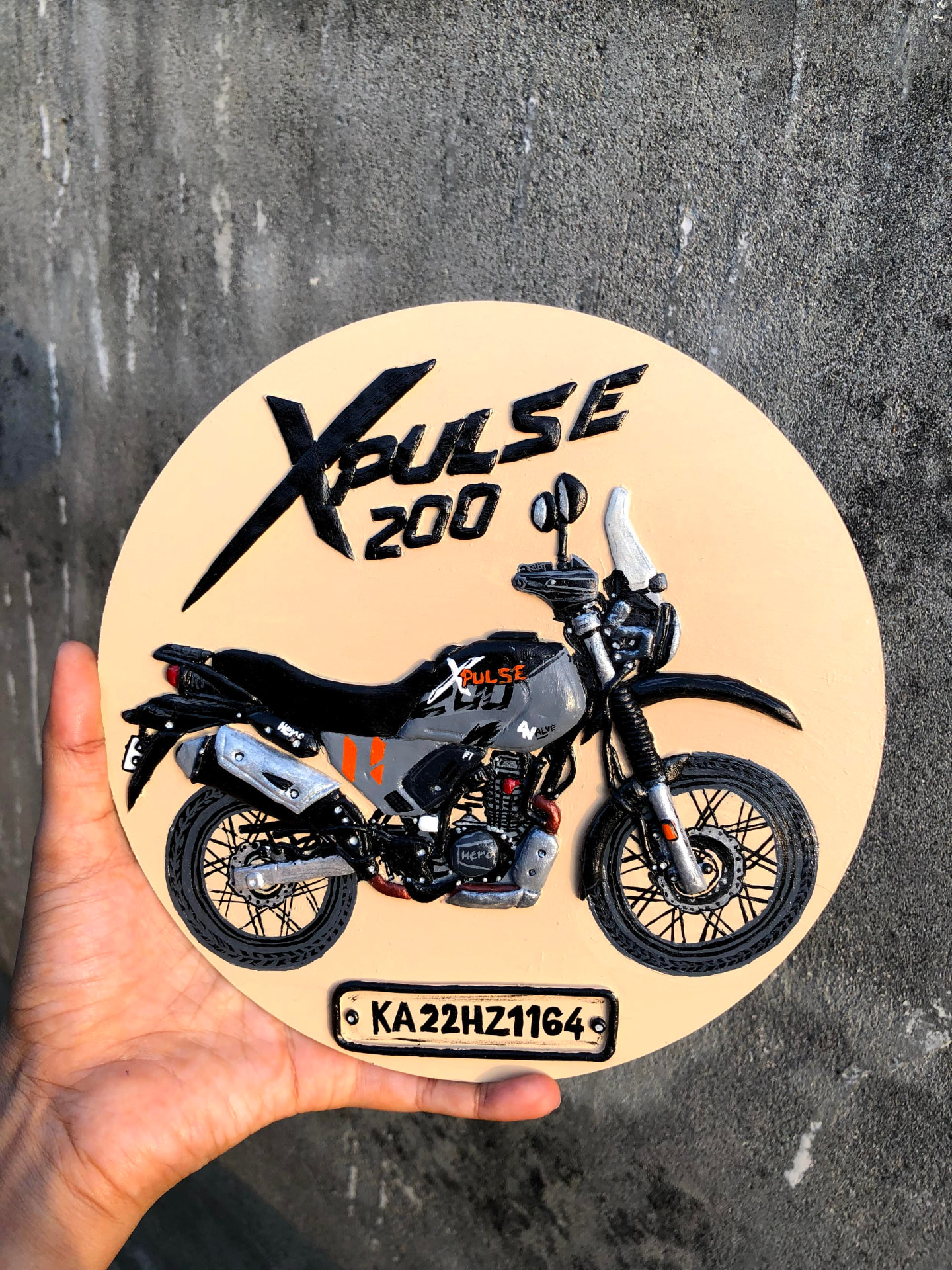Custom Xpulse 200 motorcycle Lippan artwork with personalized number plate